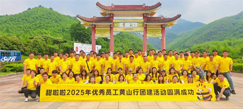 凝聚團隊力量，強大組織能力——2025年優秀員工黃山行團建圓滿收官